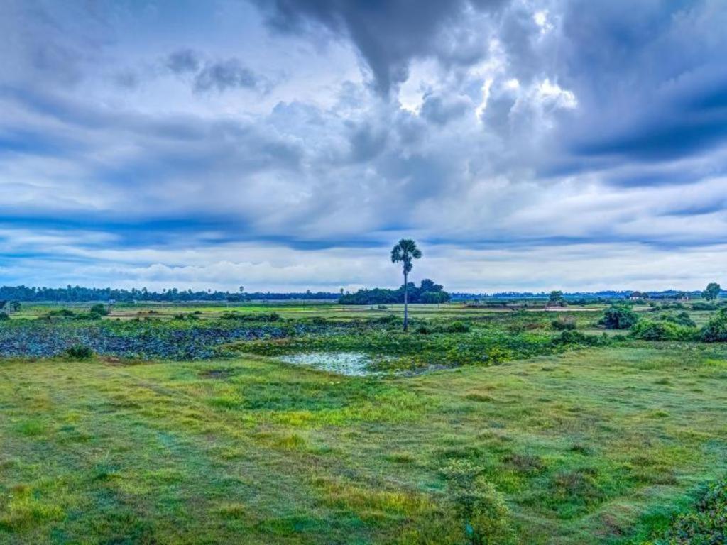 Ry'S Lotus Resort D'Angkor Siem Reap Exterior photo