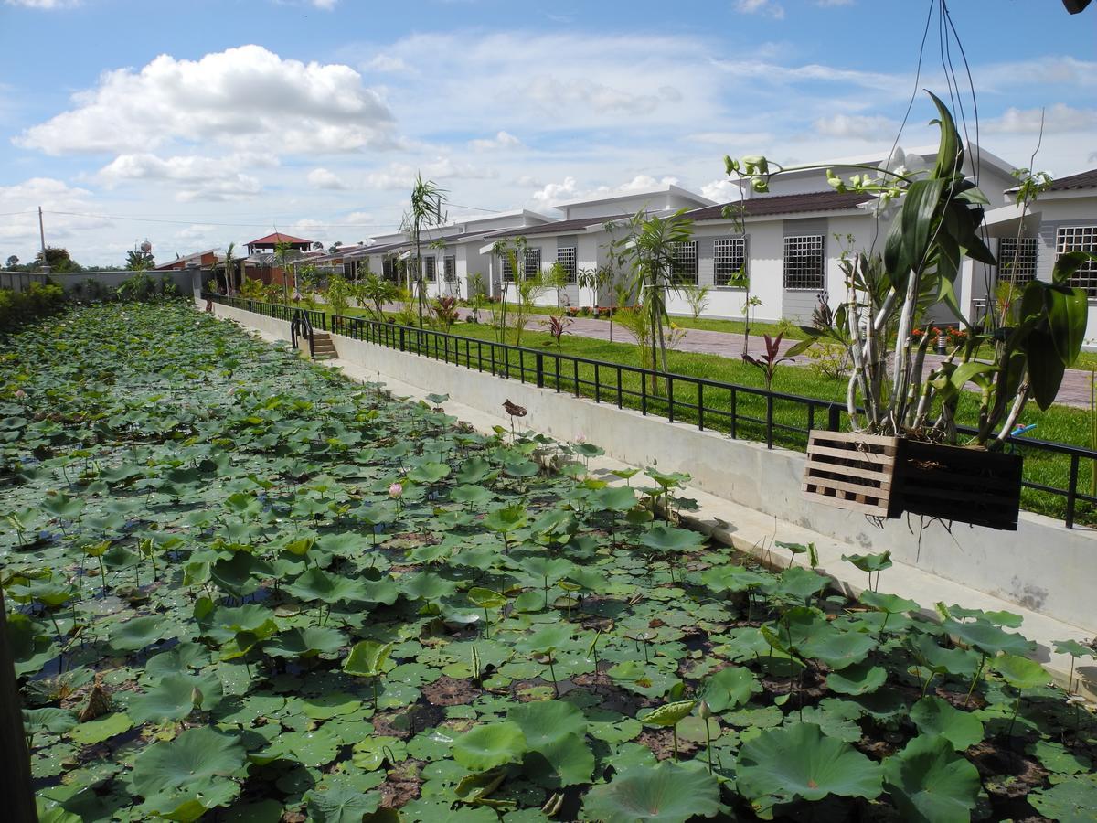 Ry'S Lotus Resort D'Angkor Siem Reap Exterior photo